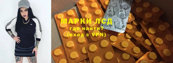 крисы Алзамай