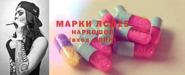 apvp Алексин