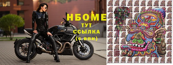 крисы Алзамай