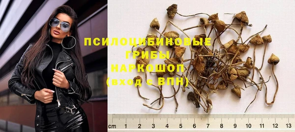 apvp Алексин